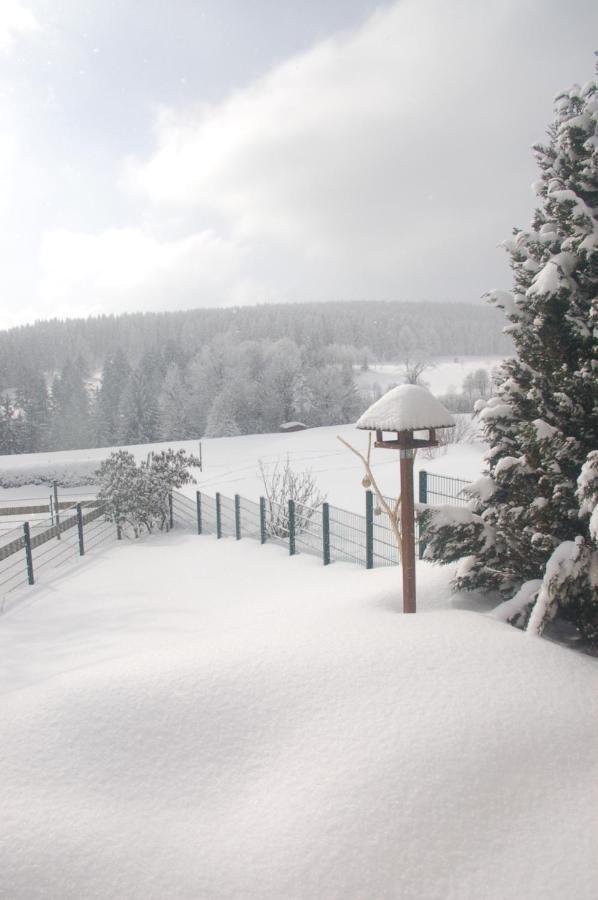 Ferienhaus Waldblick Siegmundsburg Exteriör bild